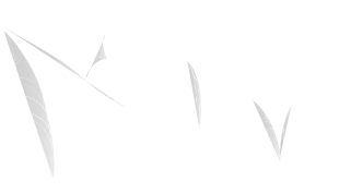 web